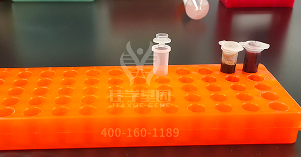 【佳学基因案例】先天性肌无力基因检测、基因解码